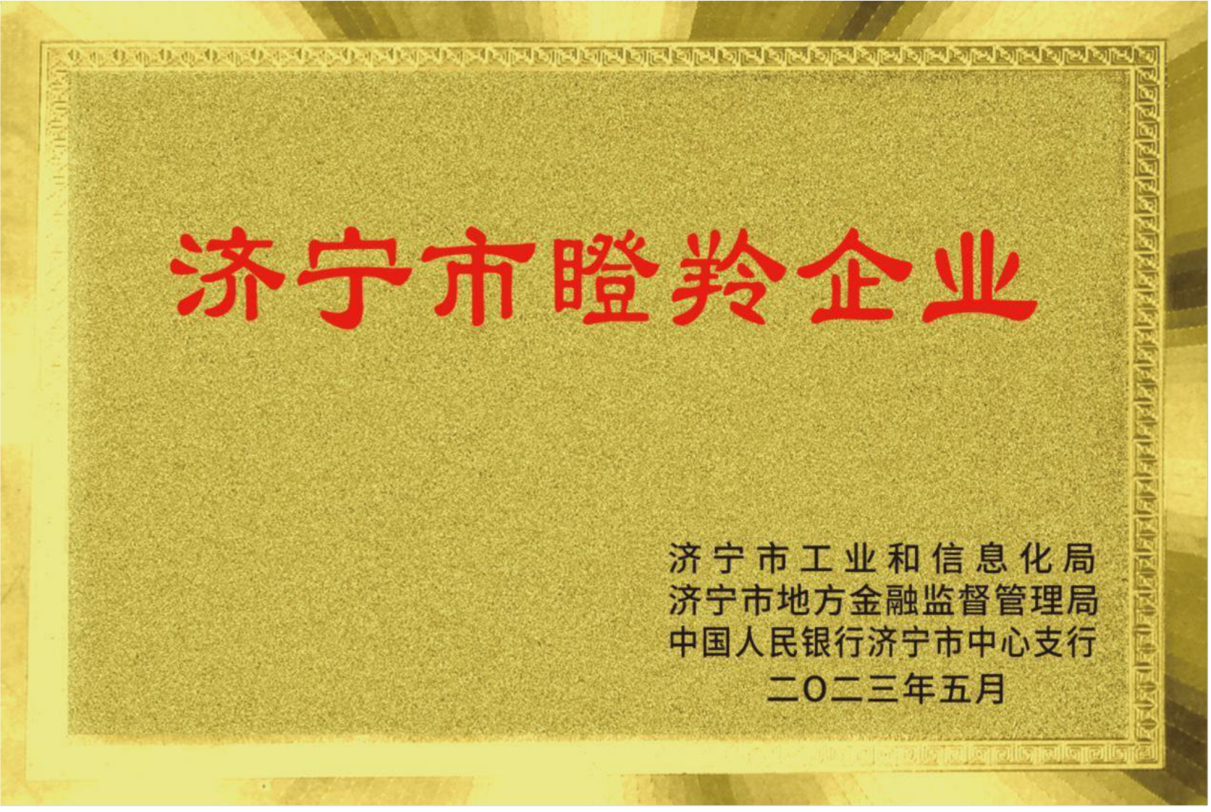 濟(jì)寧市瞪羚企業(yè)